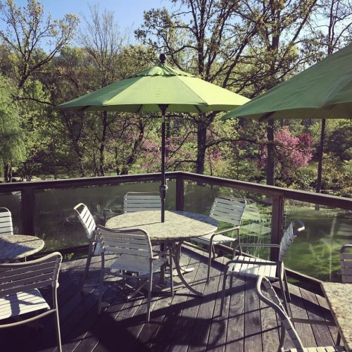 A sunny outdoor patio with green umbrellas, tables, and chairs surrounded by lush trees and greenery.