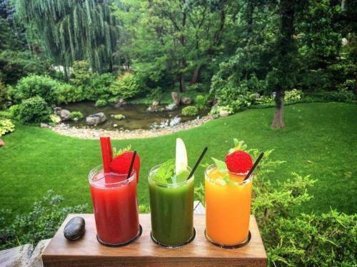 Three colorful cocktails on a wooden tray, set against a lush green garden and a serene pond in the background.