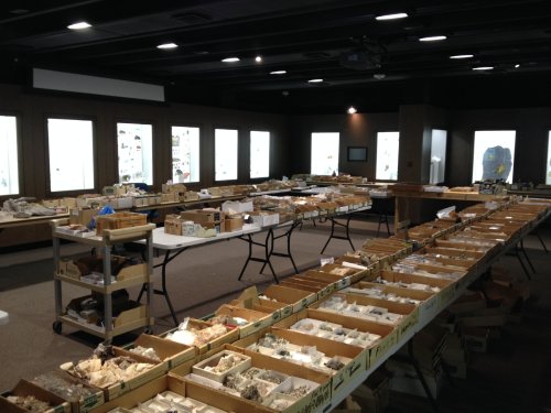 A spacious room filled with tables displaying numerous boxes of rocks and minerals, with illuminated display cases in the background.