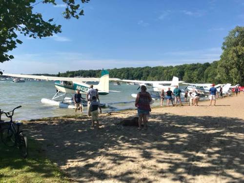 Seaplanes parked on a sandy beach with people walking along the shore and trees in the background under a clear blue sky.