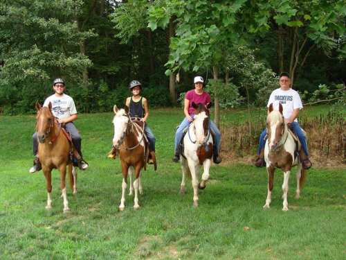 Four people on horseback in a green field, surrounded by trees, smiling and enjoying a sunny day outdoors.