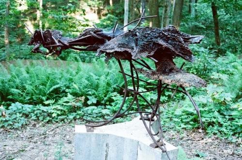 A unique abstract sculpture made of dark materials, set in a lush green forest with ferns in the background.