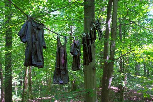 A row of dark clothing hanging on a line between trees in a lush green forest.