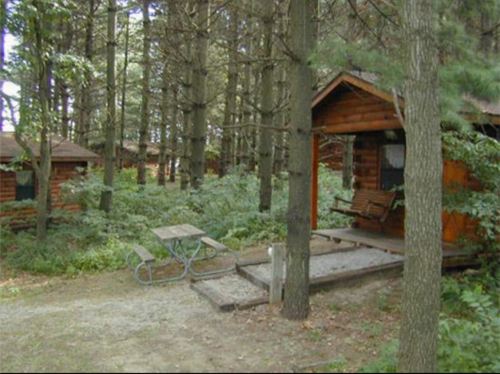 A rustic cabin surrounded by trees, with a picnic table and a porch swing in a serene forest setting.