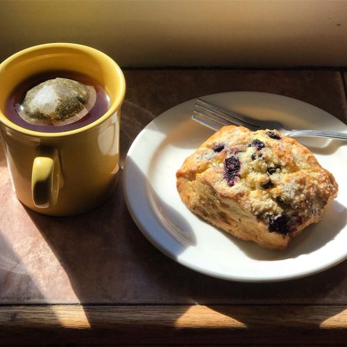 A cup of tea next to a plate with a blueberry scone, illuminated by sunlight.