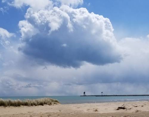 A sandy beach with tall grass, under a cloudy sky, featuring a distant lighthouse and pier on the water.