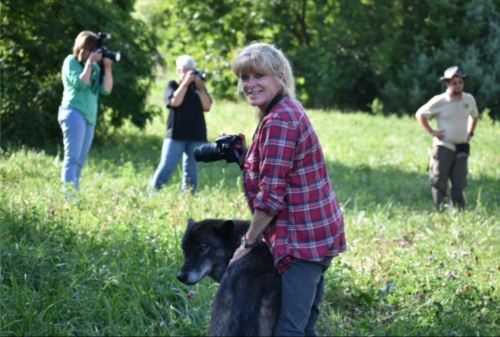 A woman in a plaid shirt smiles while sitting on a black wolf, with photographers in the background capturing the moment.