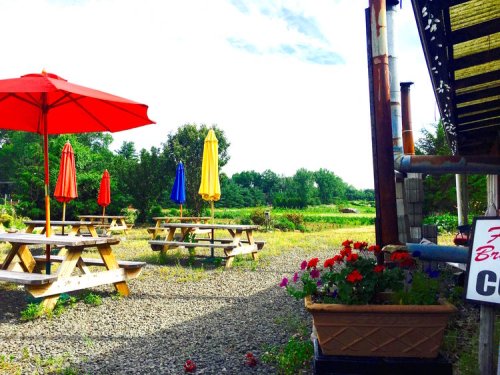 Outdoor seating area with colorful umbrellas, picnic tables, and flower pots, surrounded by greenery and blue skies.