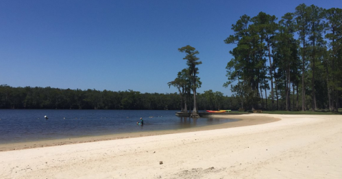 A serene beach scene with sandy shore, calm water, and trees, featuring kayaks in the distance under a clear blue sky.