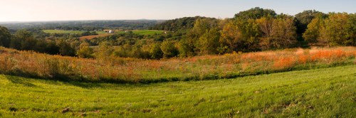 A panoramic view of rolling hills and fields, with vibrant greenery and trees under a clear sky.