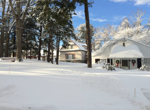 A snowy landscape featuring two houses surrounded by trees, with a clear blue sky and holiday wreaths on the windows.