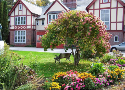 A vibrant garden with colorful flowers and a flowering tree in front of a charming, Tudor-style building.