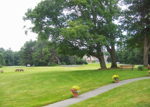A serene park scene featuring green grass, trees, flower pots, and benches, with a pathway leading through the area.