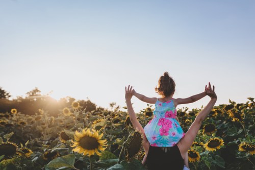 A child in a floral dress is perched on an adult's shoulders in a sunflower field at sunset.