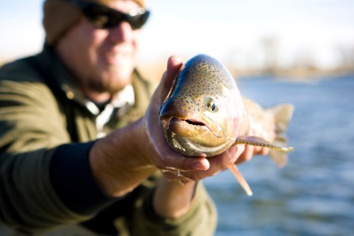 A person wearing sunglasses holds a trout fish by a river, smiling in the background.