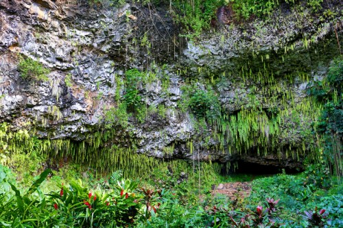 Lush green vegetation and hanging moss adorn a rocky cave entrance, surrounded by vibrant tropical plants.
