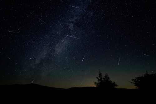 A starry night sky filled with shooting stars and the Milky Way, silhouetted trees in the foreground.