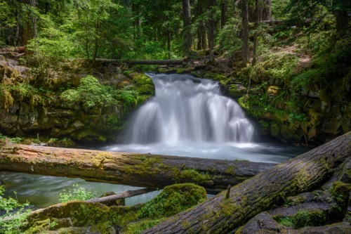 A serene waterfall cascades over rocks, surrounded by lush green trees and moss-covered logs in a tranquil forest setting.