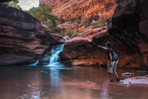 A person fishing near a serene waterfall in a rocky canyon, surrounded by lush greenery and warm, earthy tones.