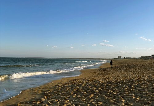 A person walks along a sandy beach with gentle waves and a clear blue sky in the background.