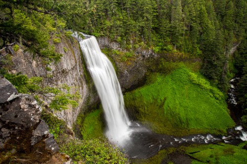 A serene waterfall cascades down rocky cliffs, surrounded by lush green foliage and trees in a tranquil forest setting.