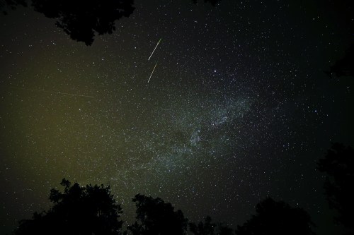 A starry night sky with a bright Milky Way and two shooting stars, framed by dark tree silhouettes.