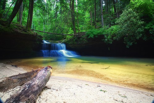 A serene forest scene featuring a small waterfall cascading into a clear pool, surrounded by lush greenery and sandy shore.