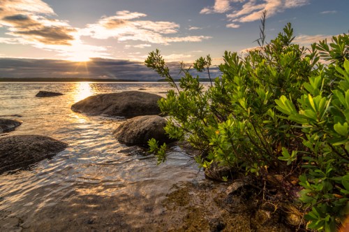 Sunset over a calm lake, with rocks and lush greenery in the foreground reflecting warm golden light.