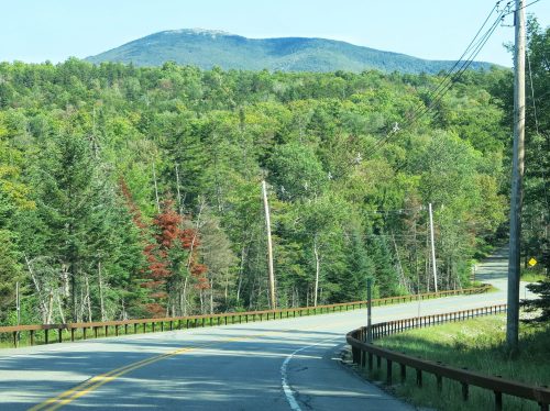 A winding road through lush green trees, with a mountain peak visible in the background under a clear blue sky.