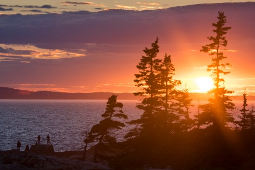 Silhouetted trees against a vibrant sunset over the ocean, with people standing on the shore.