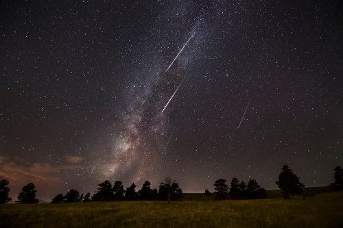 A starry night sky filled with the Milky Way and several shooting stars over a grassy field and silhouette of trees.