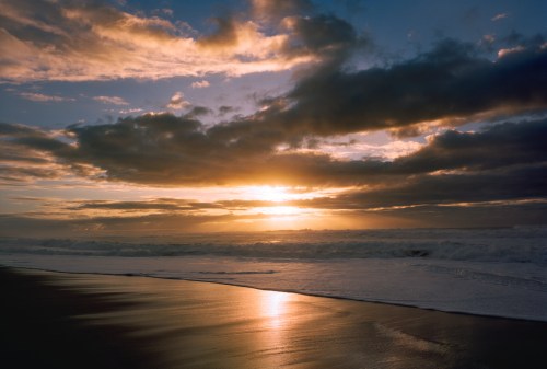 A serene beach at sunset, with golden light reflecting on wet sand and dramatic clouds in the sky.