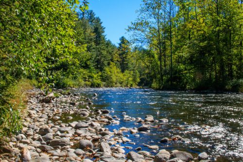 A serene river flows through a lush green landscape, lined with trees and smooth stones along the water's edge.