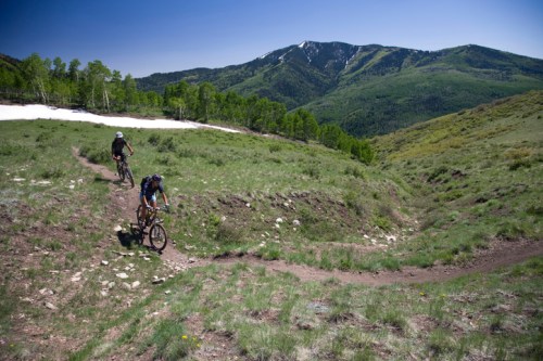 Two mountain bikers navigate a winding trail through a lush green landscape with mountains in the background.