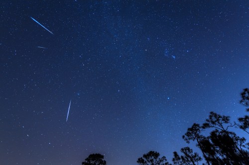 A starry night sky filled with bright meteors streaking across, framed by silhouetted trees below.