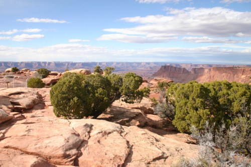 A rocky landscape with green shrubs and distant cliffs under a blue sky with scattered clouds.