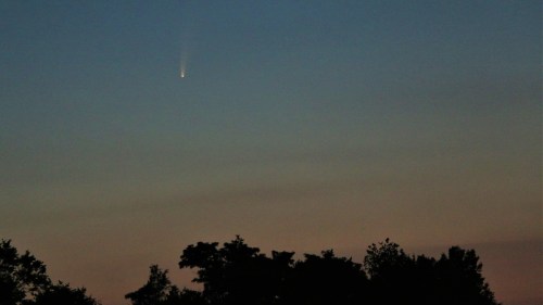 A comet streaks across a twilight sky, above silhouetted trees and a gradient of soft colors.