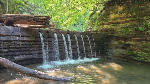 A serene waterfall cascading over rocky ledges into a calm pool, surrounded by lush green trees and foliage.