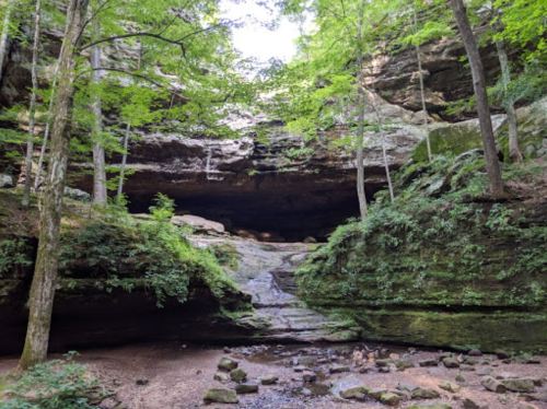 A serene forest scene featuring a rocky overhang, lush greenery, and a small stream at the base of the cliffs.