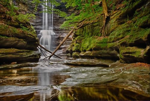 A serene waterfall cascades over moss-covered rocks, surrounded by lush greenery and a calm pool below.