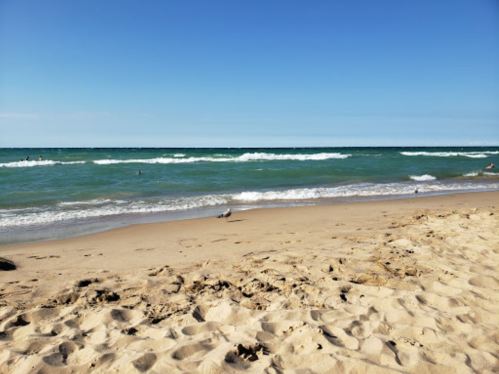 A sandy beach with gentle waves, clear blue sky, and a few people enjoying the water in the distance.