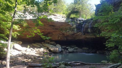 A serene natural scene featuring a waterfall cascading over rocks into a calm pool, surrounded by lush greenery.