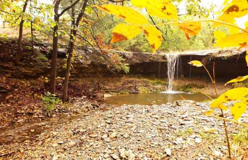 A serene waterfall cascades over a rocky ledge, surrounded by autumn leaves and a tranquil stream.