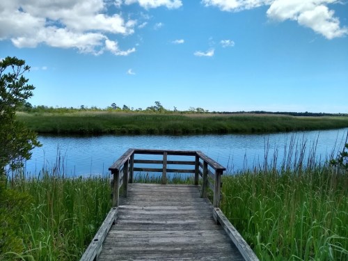 A wooden dock extends over a calm river, surrounded by tall grass and under a clear blue sky with scattered clouds.