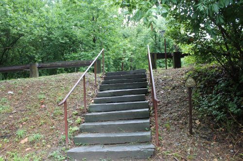 Stone steps lead up a grassy path surrounded by trees, with a railing on either side and a sign nearby.