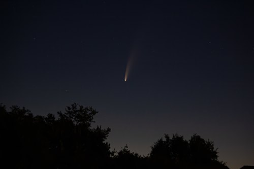 A comet streaks across a dark night sky, with trees silhouetted in the foreground.