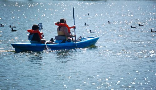 A person and a child in life jackets paddle a blue kayak on a shimmering lake, surrounded by ducks.