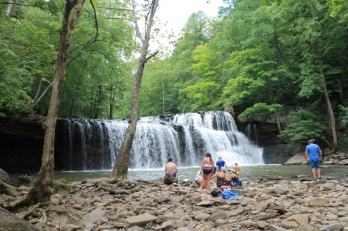 A group of people enjoying a waterfall surrounded by lush green trees and rocky terrain.