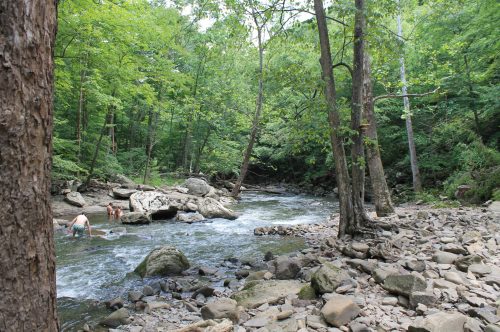 A serene forest scene with a flowing stream, rocky banks, and two people wading in the water among lush greenery.