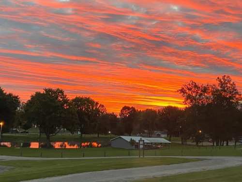 Vibrant sunset with orange and pink hues over a park, reflecting on a pond, surrounded by trees and a grassy area.